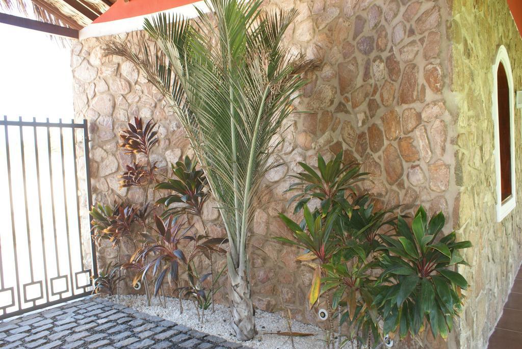 Flat La Fazenda Lejlighed Canoa Quebrada Eksteriør billede